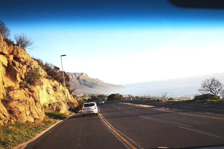 Private Whale Watching Tour from Cape Town to Hermanus (July–November) photo 6