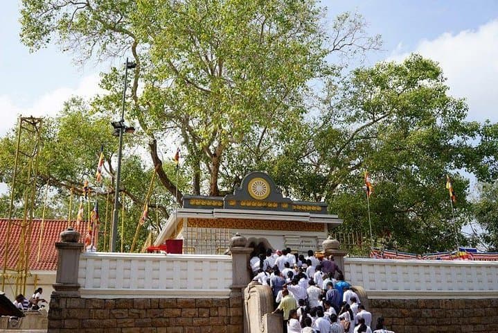Half-Day Tour Anuradhapura Mihintale Ancient Temples Sunset photo 2