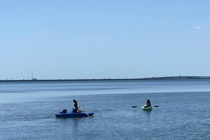 Tampa Bay Stand Up Paddle Board Rental — Explore Bay Breeze on SUP, Kayak & Jet Ski photo 2