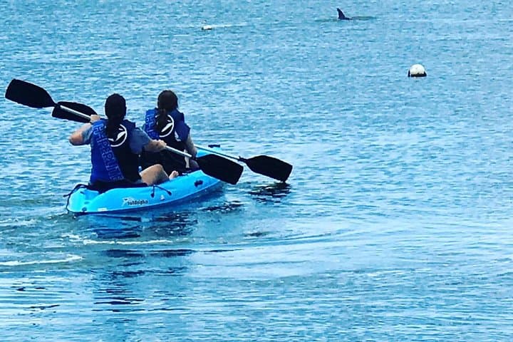 Tampa Bay Stand Up Paddle Board Rental — Explore Bay Breeze on SUP, Kayak & Jet Ski photo 3