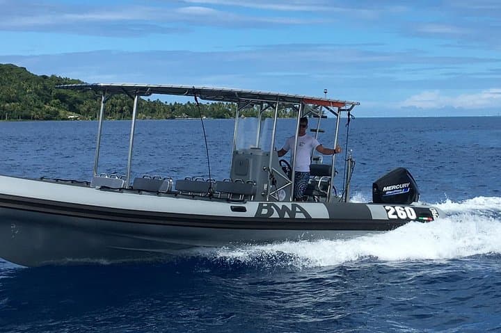 Private Whale Watching in Bora Bora — Swim with Humpbacks & Hydrophone Experience photo 6