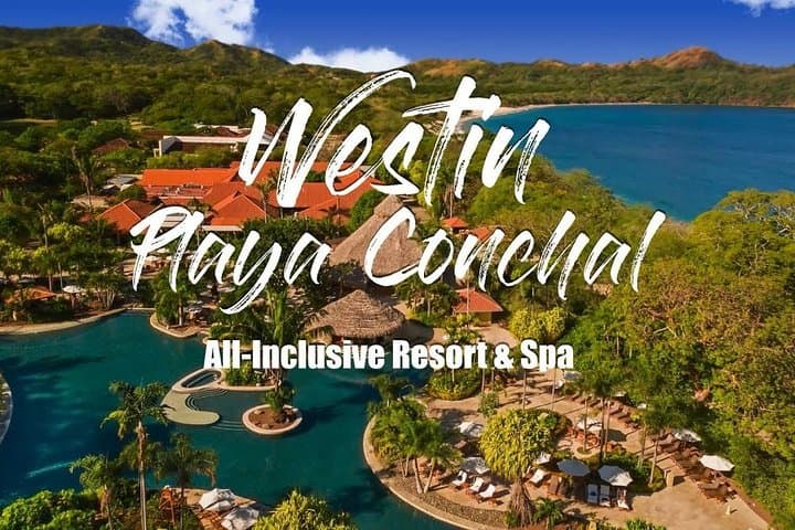 Private Transfer From Liberia Airport to Playa Conchal & Flamingo photo 4