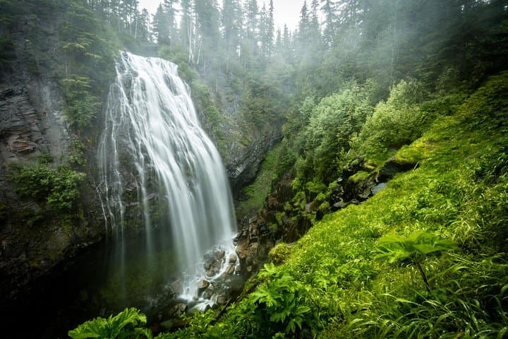 Private Mt Rainier Day Trip from Seattle — Narada Falls, Paradise & Reflection Lake photo 4