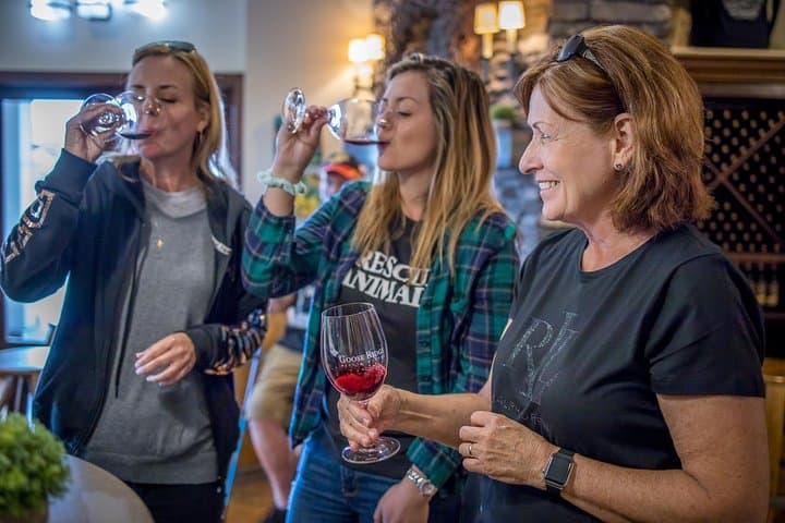 Woodinville Wine and Snoqualmie Falls Day Tour — Wineries & Waterfall from Seattle