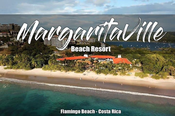 Private Transfer From Liberia Airport to Playa Conchal & Flamingo photo 3