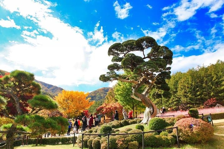 Private Day Tour to Nami Island, Petite France & Garden of Morning Calm photo 4