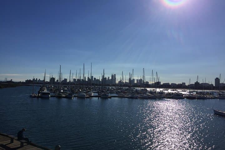 Private Full-Day Melbourne Tour with Koala Encounters and Moonlit Sanctuary Visit photo 4