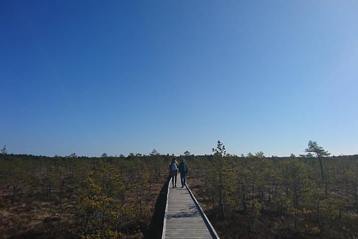 Private Day Trip from Tallinn: Lahemaa & Kõrvemaa Hiking Escape photo 2