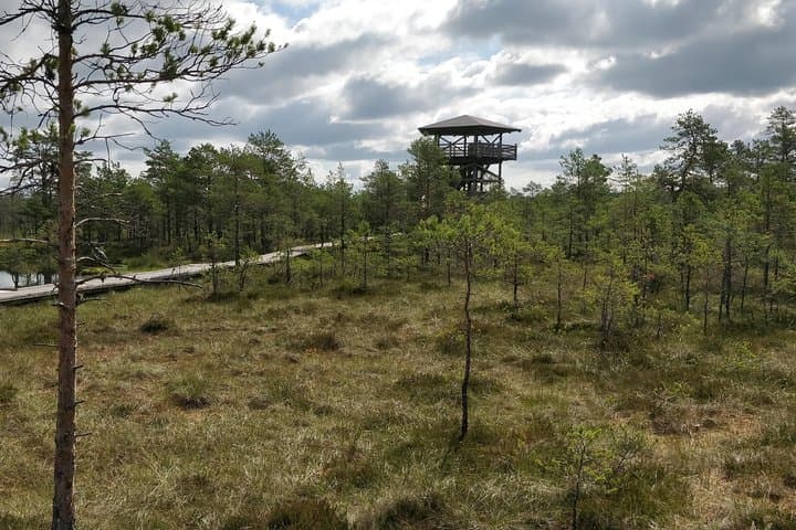 Private Day Trip from Tallinn: Lahemaa & Kõrvemaa Hiking Escape photo 4