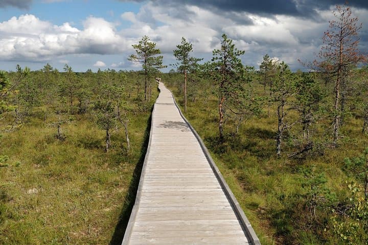 Private Day Trip from Tallinn: Lahemaa & Kõrvemaa Hiking Escape photo 5