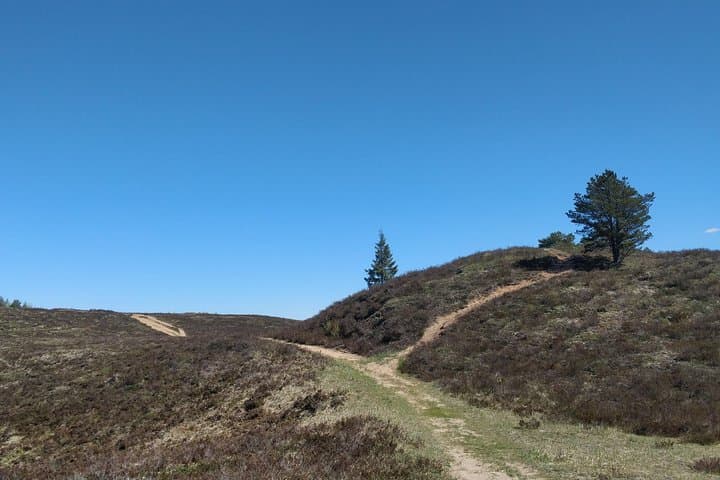 Private Day Trip from Tallinn: Lahemaa & Kõrvemaa Hiking Escape photo 3