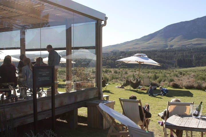 Hemel-en-Aarde Wine Tour: Tasting the Wines of Hermanus Valley photo 2