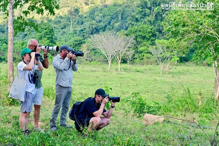 Full-Day Visit to Wildlife Friends Foundation Thailand from Hua Hin