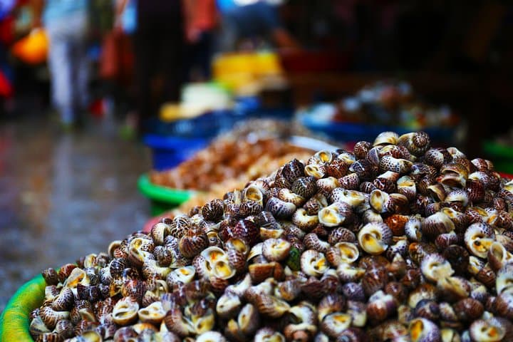 Xiamen Private Food Market Experience: Zeng Cuo An & Eighth Seafood Market photo 5