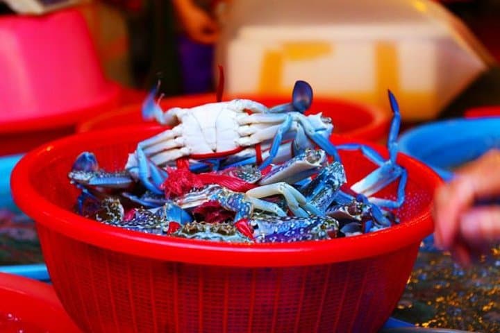 Xiamen Private Food Market Experience: Zeng Cuo An & Eighth Seafood Market photo 6