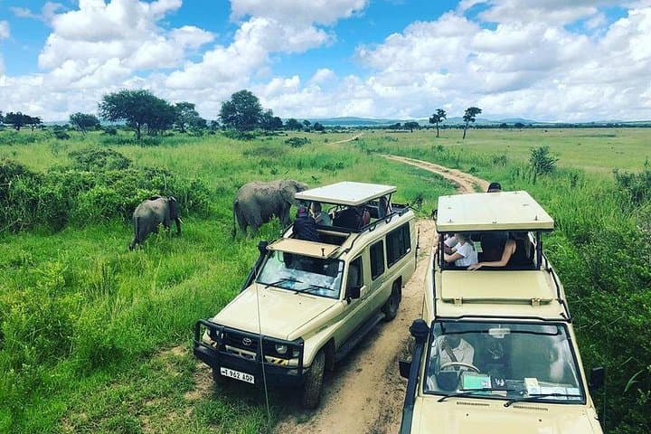 3-Day Mikumi Safari: 2 Nights Game Drives from Dar es Salaam photo 1