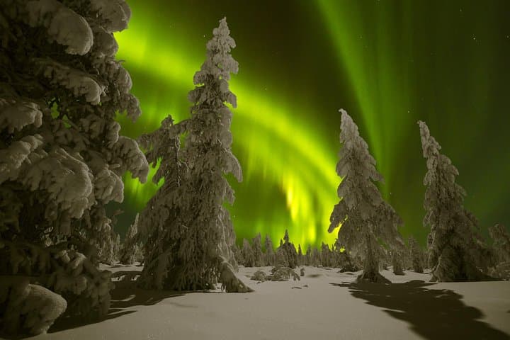 Northern Lights Picnic from Rovaniemi: Aurora Hunt with Campfire and Hot Drinks photo 3