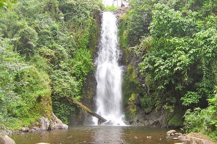 Marangu Waterfalls & Chagga Culture: Full-Day Coffee, Caves & Falls Tour photo 1