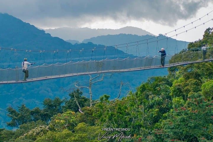 Nyungwe Canopy Walk and Zipline Day Trip from Kigali — Canopy Walkway, Nature Walk & Zipline