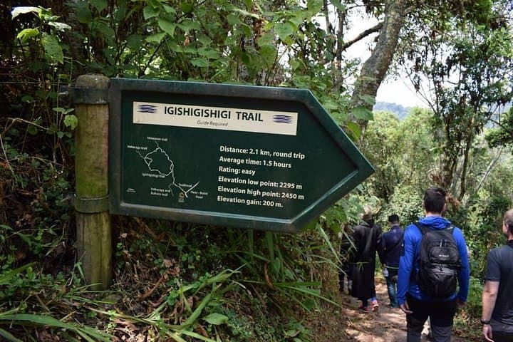 Nyungwe Forest 2-Day Chimpanzee Trekking, Canopy Walk & Zipline Adventure photo 4