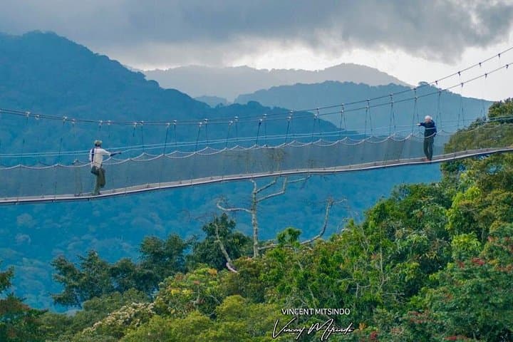 Nyungwe Forest 2-Day Chimpanzee Trekking, Canopy Walk & Zipline Adventure photo 5
