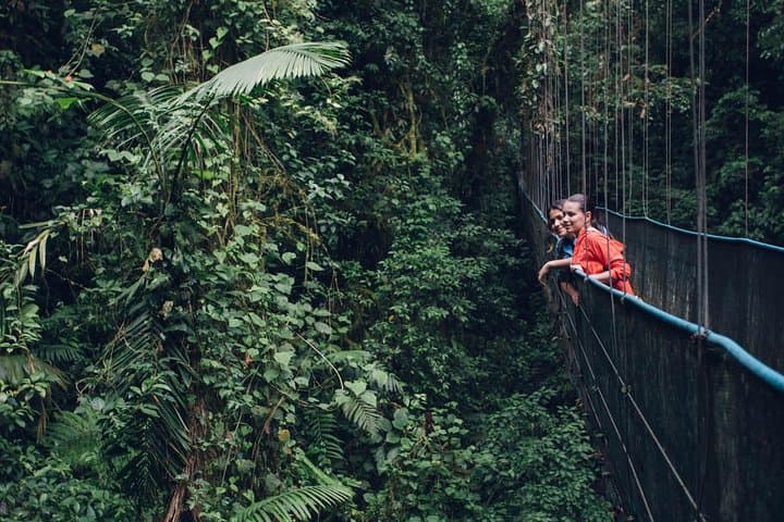Arenal Sky Walk: Hanging Bridges, Waterfalls & Rainforest Guide photo 6