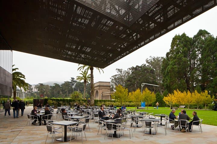 Explore San Francisco’s de Young Museum: General Admission Guide & Tips photo 4