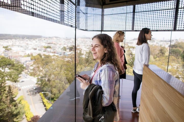 Explore San Francisco’s de Young Museum: General Admission Guide & Tips photo 3