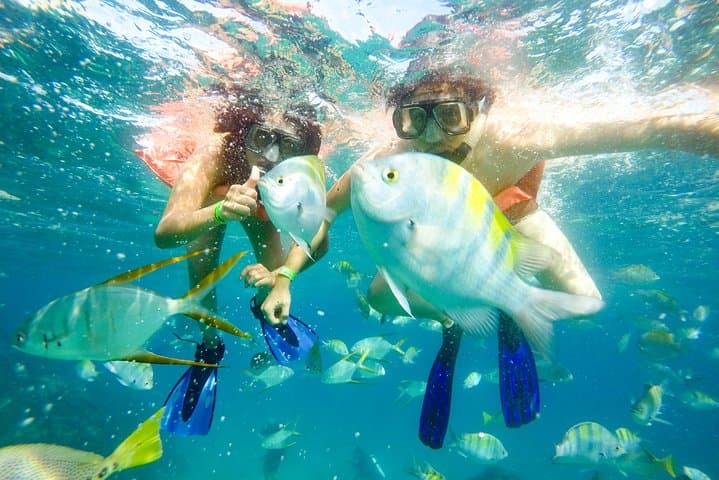 Snorkel Pelican Rock Cabo San Lucas: Glass-Bottom Boat Tour, Snorkeling & Photos photo 6