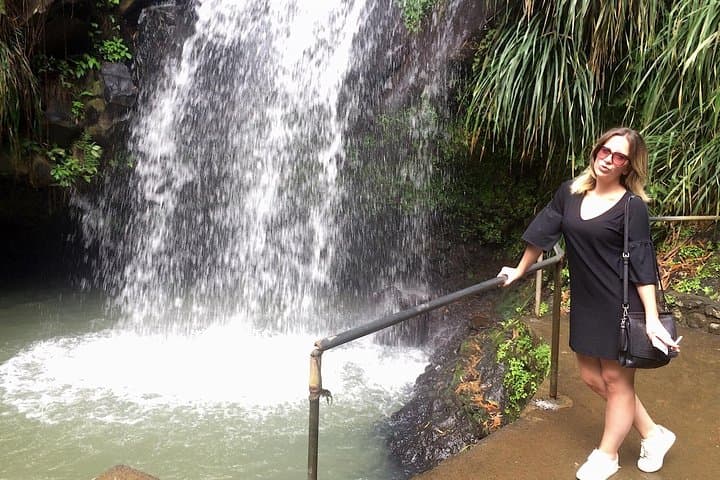 Annandale Waterfall & Forest Park — Family-Friendly Grenada Day Trip Guide photo 2