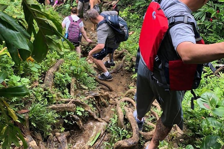 Private El Yunque Rainforest Tour from San Juan — Rivers, Pools & Waterfalls photo 4