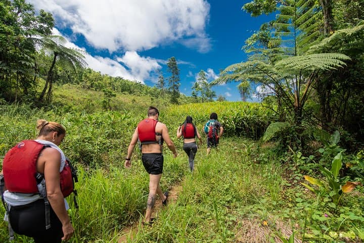 El Yunque Rainforest Hike and Laguna Grande Bioluminescent Bay Kayak Combo