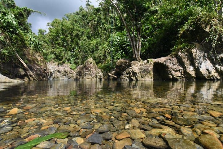 Private El Yunque Rainforest Tour from San Juan — Rivers, Pools & Waterfalls photo 6