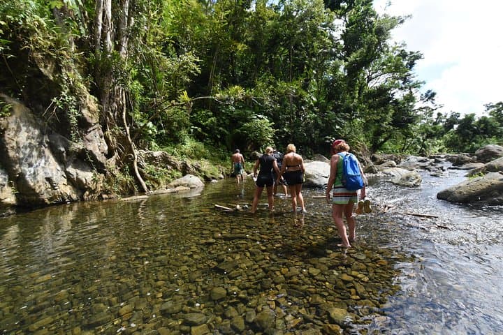 Private El Yunque Rainforest Tour from San Juan — Rivers, Pools & Waterfalls photo 3