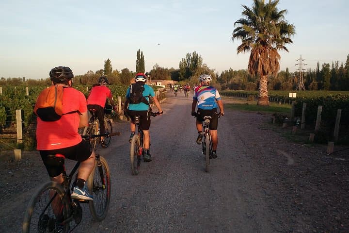 Pedal & Pour: MTB Wine Tour Through Chacras de Coria Vineyards photo 2
