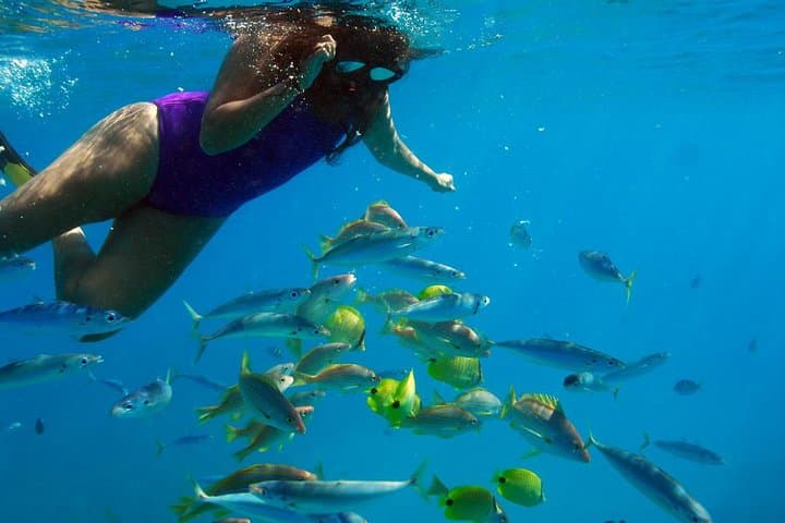 Ko Olina Catamaran Sail and Snorkel — 3-Hour Oahu Cruise with Lunch photo 5
