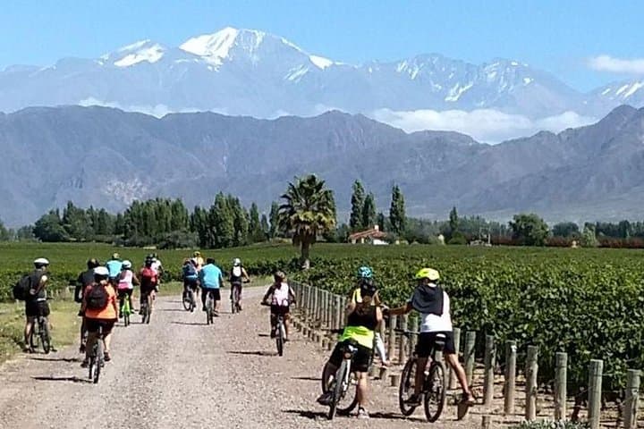 Pedal & Pour: MTB Wine Tour Through Chacras de Coria Vineyards photo 5