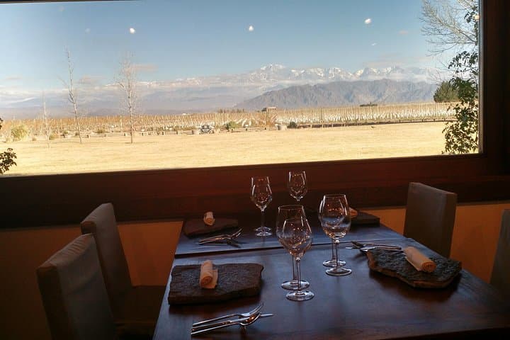 Pedal & Pour: MTB Wine Tour Through Chacras de Coria Vineyards photo 3