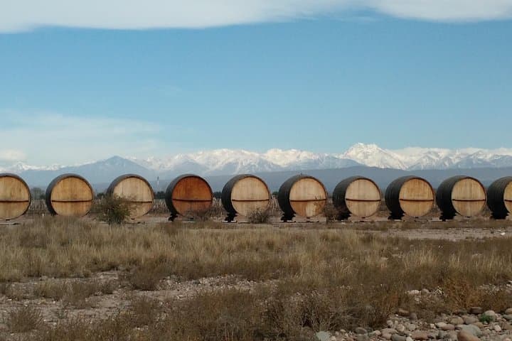 Pedal & Pour: MTB Wine Tour Through Chacras de Coria Vineyards photo 6