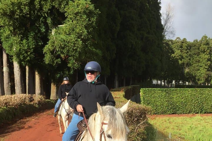 Ride a Volcano: Horseback Through Terceira’s Forest Gardens