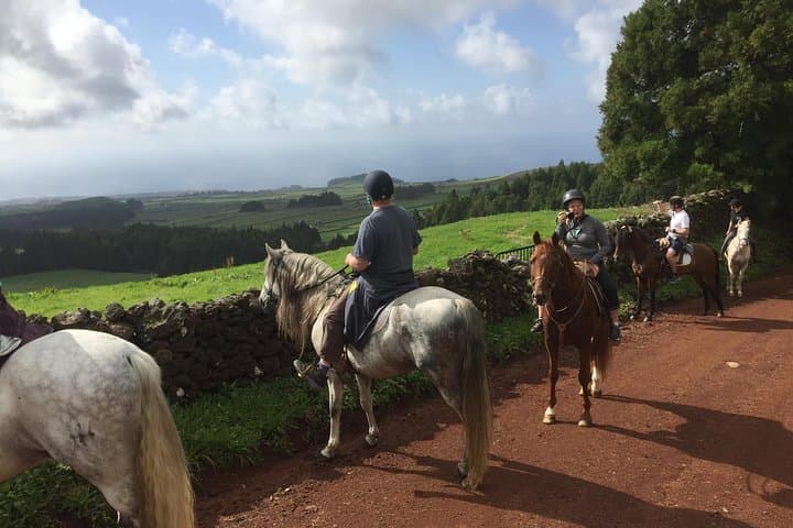 Ride a Volcano: Horseback Through Terceira’s Forest Gardens photo 2