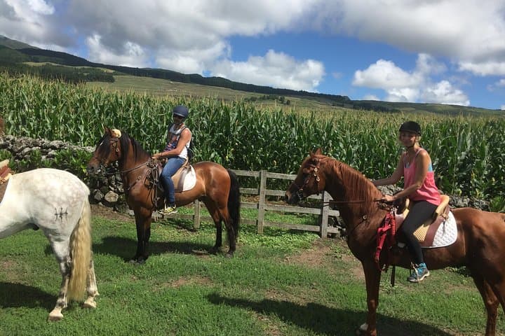 Ride a Volcano: Horseback Through Terceira’s Forest Gardens photo 4