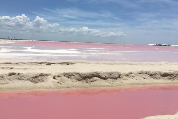 Las Coloradas & Río Lagartos Pink Lagoon Boat Tour — Flamingos, Mayan Bath & Salt Pans