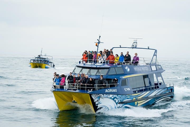 Kaikoura Whale and Dolphin Overnight Tour from Christchurch photo 2