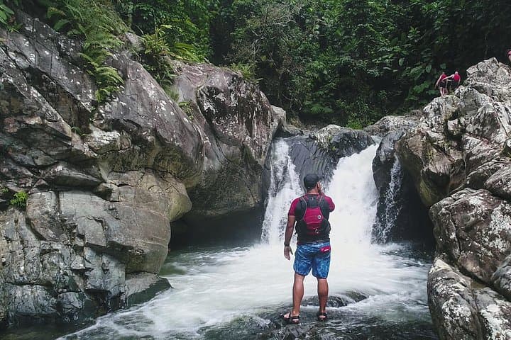 El Yunque Rainforest Hike and Laguna Grande Bioluminescent Bay Kayak Combo photo 2