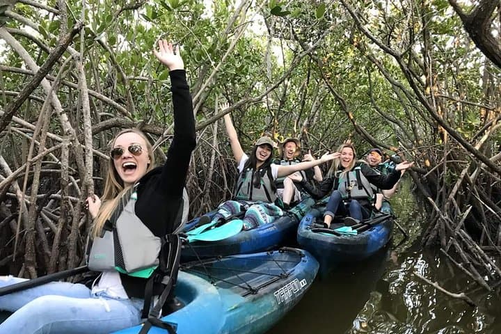 Paddle the Thousand Islands: Manatees, Dolphins & Mangrove Tunnels in Cocoa Beach