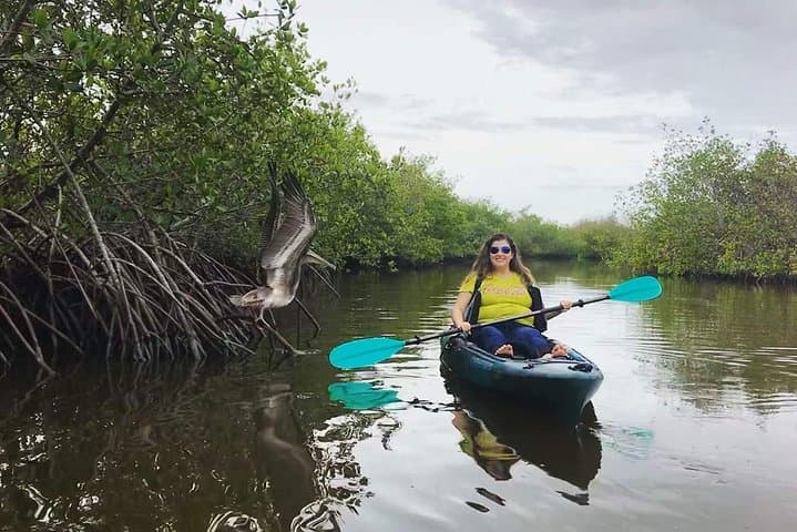 Paddle the Thousand Islands: Manatees, Dolphins & Mangrove Tunnels in Cocoa Beach photo 3