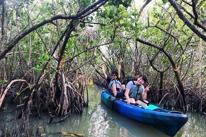 Paddle the Thousand Islands: Manatees, Dolphins & Mangrove Tunnels in Cocoa Beach photo 4