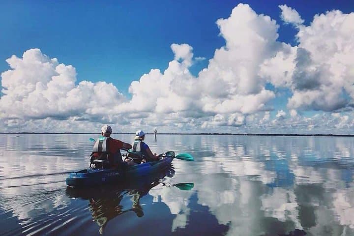Paddle the Thousand Islands: Manatees, Dolphins & Mangrove Tunnels in Cocoa Beach photo 5
