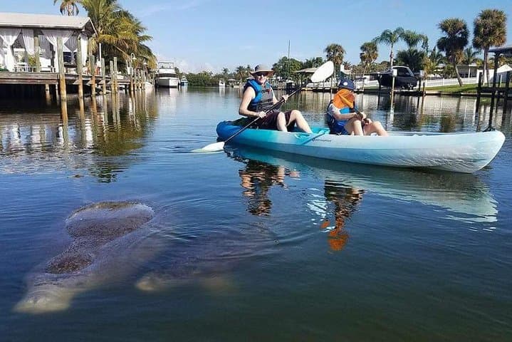 Paddle the Thousand Islands: Manatees, Dolphins & Mangrove Tunnels in Cocoa Beach photo 6